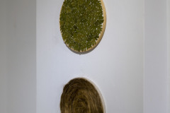 B0002486